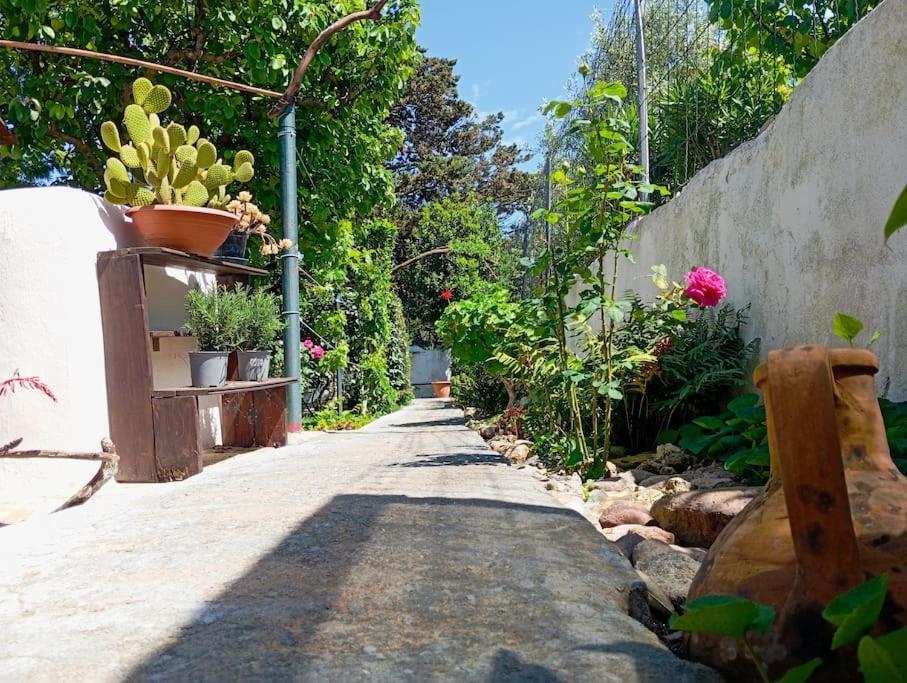 Apartment Long House Sorso